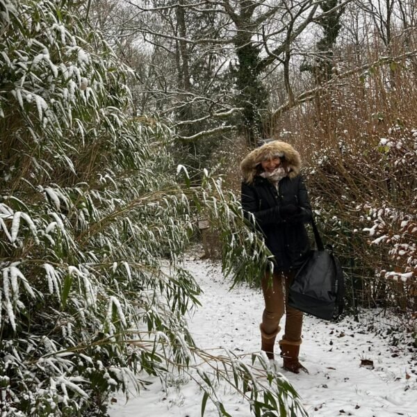 Distribution 10 Janvier