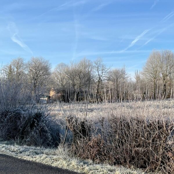 Distribution 10 Janvier