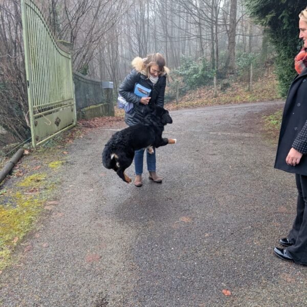 Distribution 24 Janvier