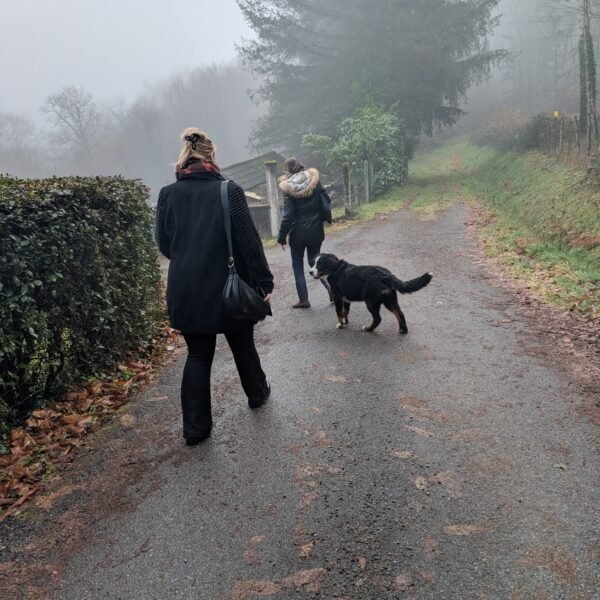 Distribution 24 Janvier