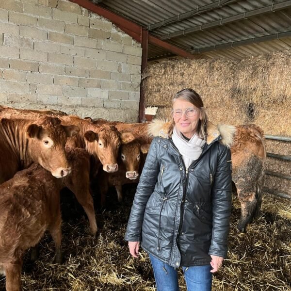 Campagne et campagne (visite chez un producteur local)